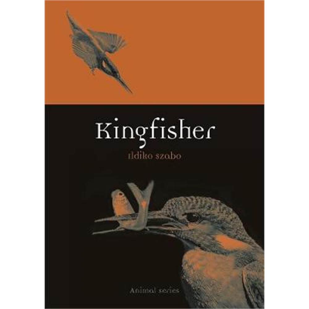 Kingfisher (Paperback) - Ildiko Szabo